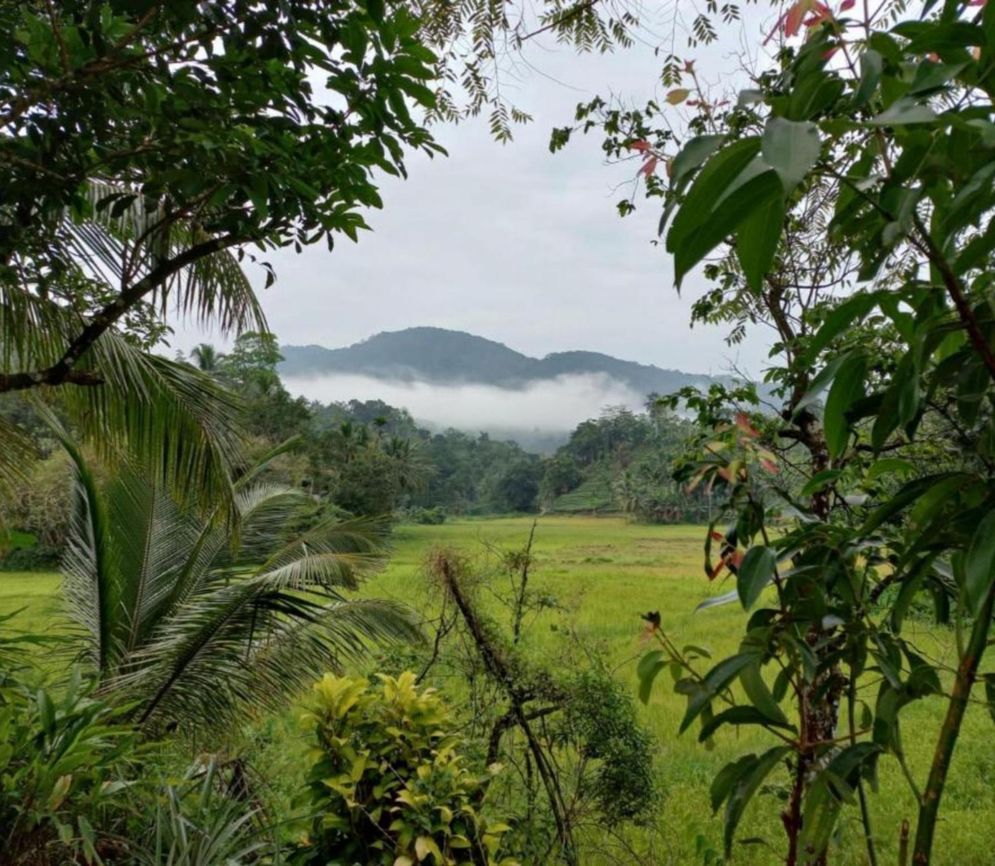 Serenity Retreat Sinharaja Deniyaya Exterior photo